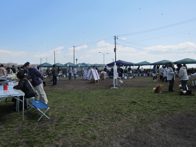 b0072650_12152245.jpg