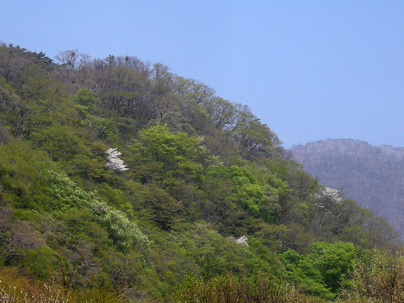 a0001354_23294127.gif