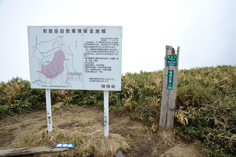 d0169556_1355920.jpg