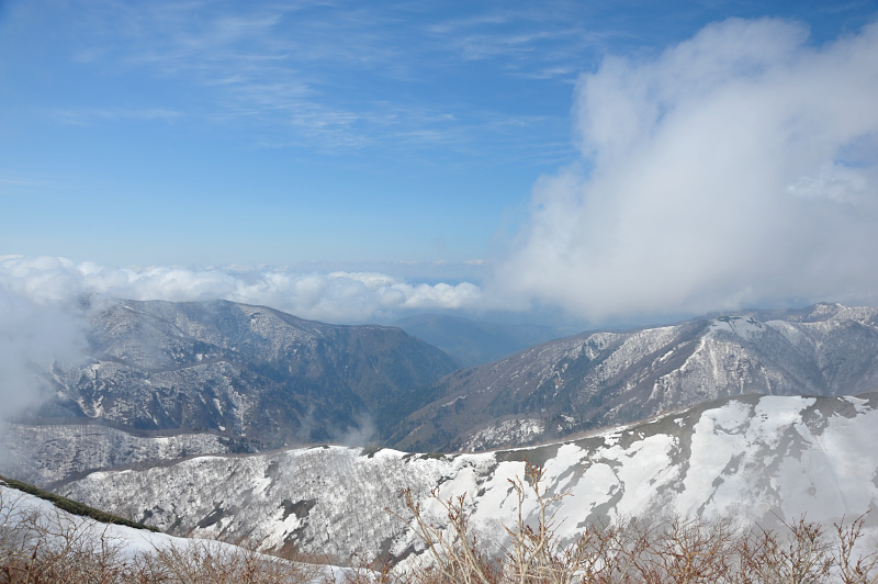 d0169556_13571987.jpg