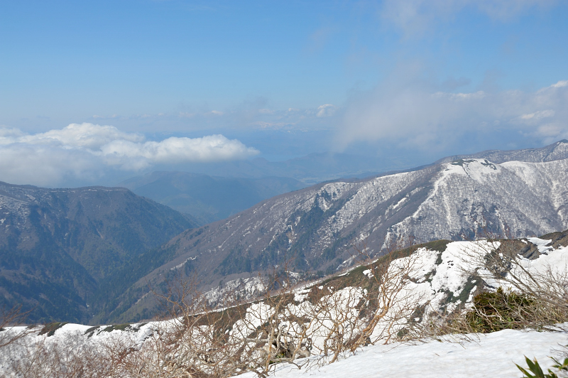 d0169556_15264954.jpg