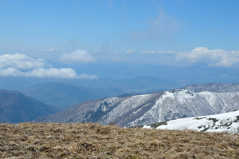 d0169556_15281223.jpg