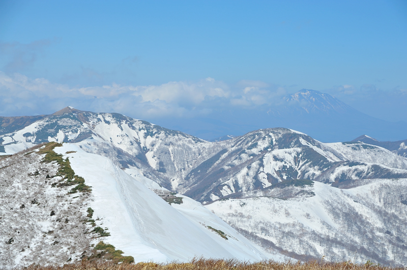 d0169556_15282018.jpg