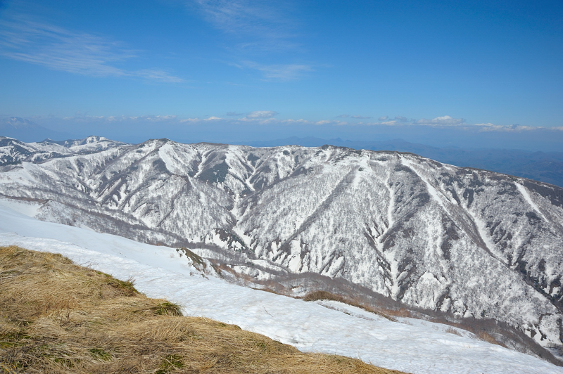 d0169556_15283215.jpg