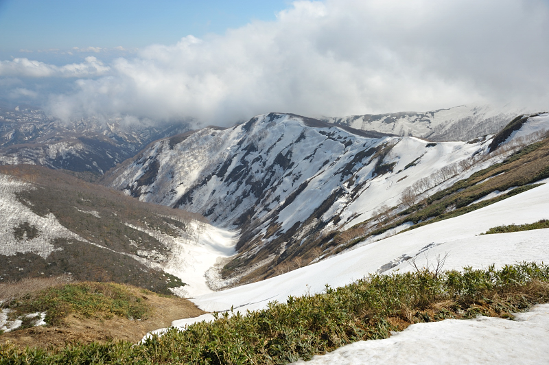 d0169556_1529945.jpg
