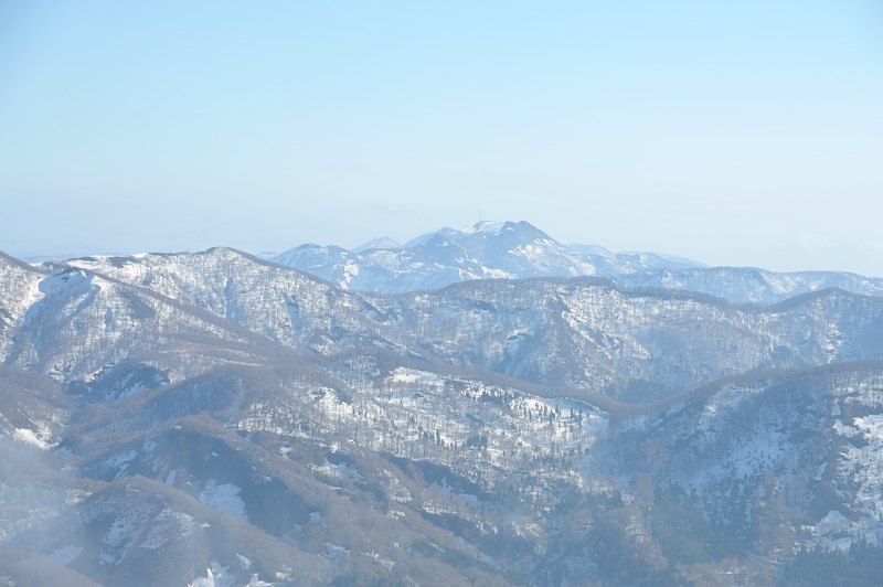 d0169556_15315522.jpg