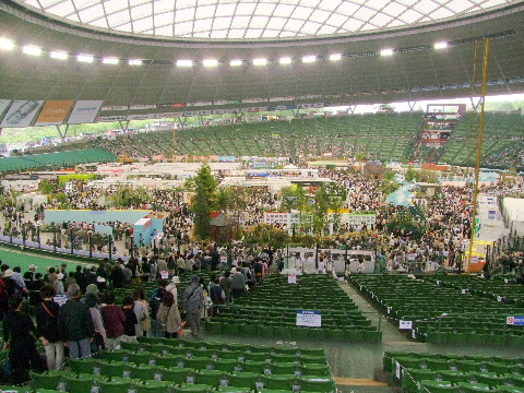 e0088260_13585576.jpg