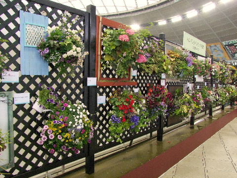 e0088260_1415171.jpg