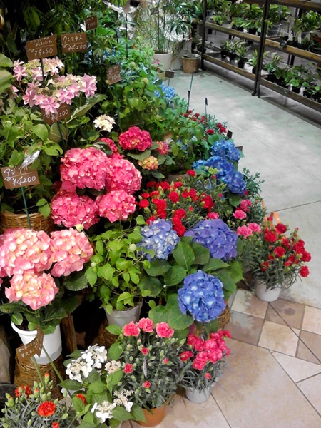 e0153367_1394881.jpg