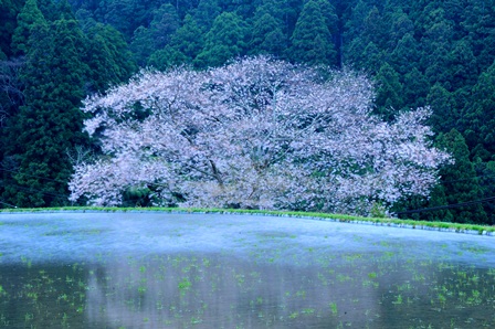 c0303868_10313379.jpg