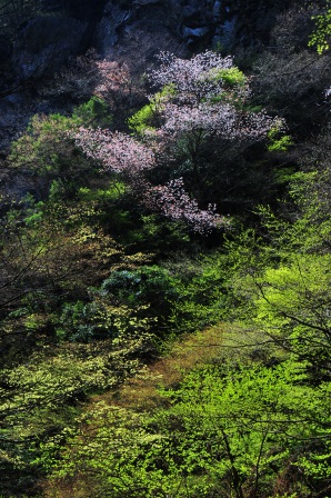 c0303868_1061344.jpg