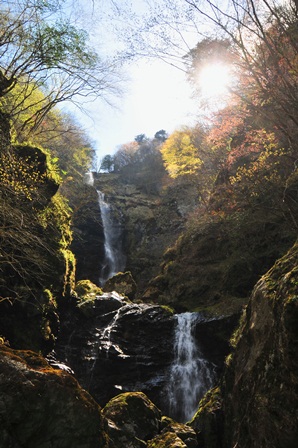 c0303868_11593441.jpg