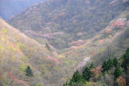 c0303868_14254684.jpg