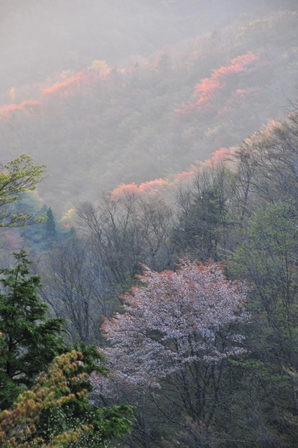 c0303868_142727.jpg