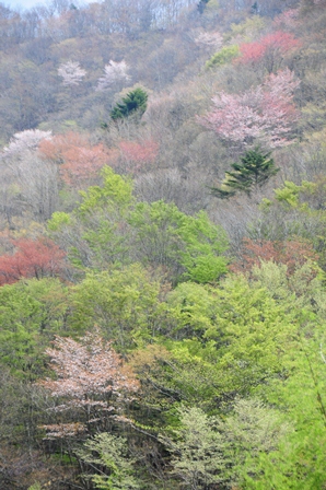 c0303868_14293067.jpg