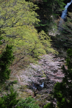 c0303868_14575335.jpg