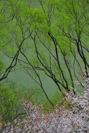 c0303868_8102476.jpg