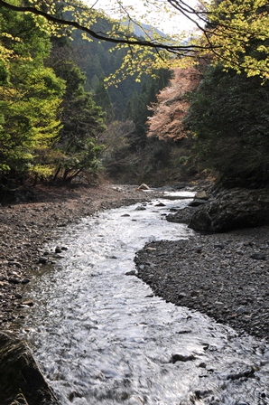 c0303868_882173.jpg