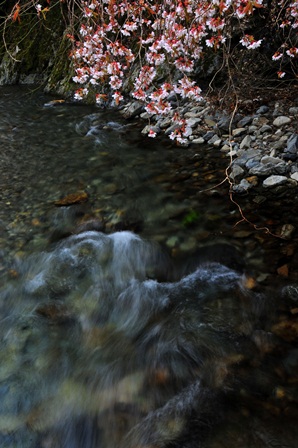 c0303868_893315.jpg