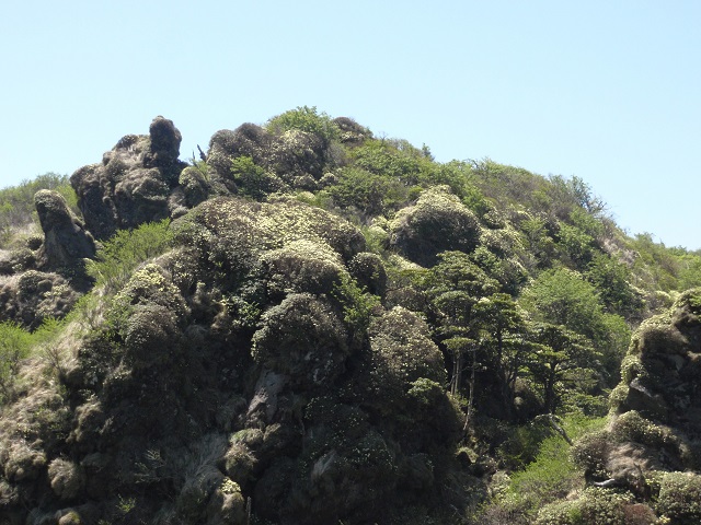 c0042869_8322890.jpg