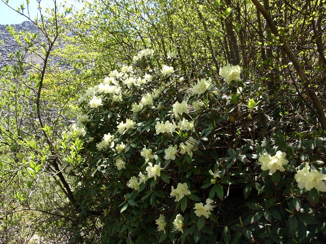 c0042869_8332810.jpg