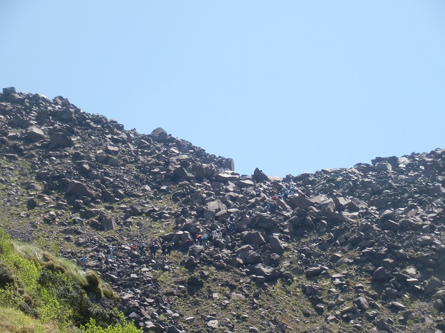 c0042869_8333947.jpg