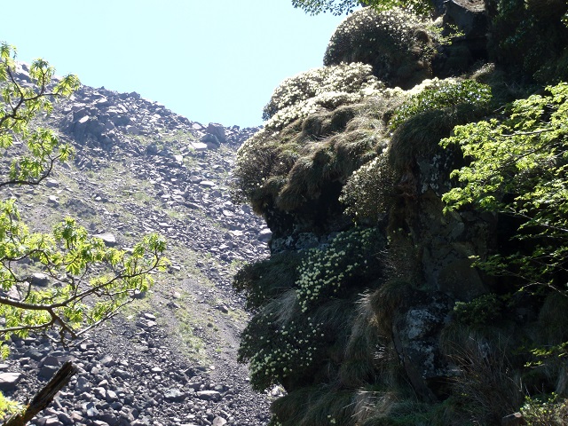 c0042869_8342171.jpg
