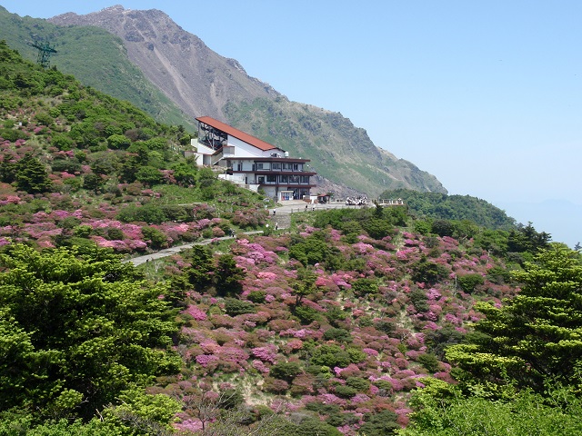 c0042869_841374.jpg