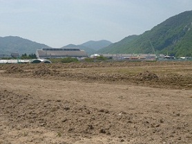 e0175370_1614827.jpg