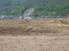 e0175370_1650412.jpg