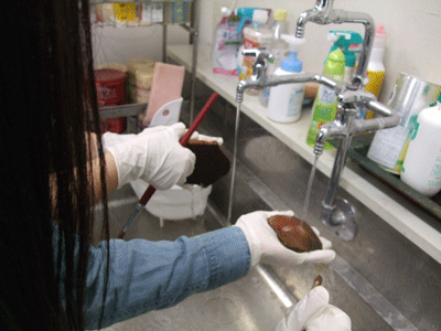 c0152274_1736219.gif