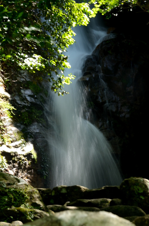 f0108478_19251290.jpg