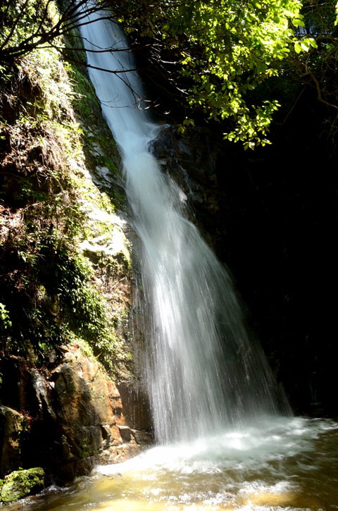 f0108478_19284373.jpg