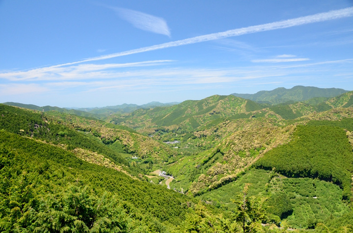 f0108478_1932146.jpg