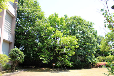 c0152779_18413115.jpg