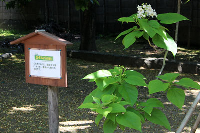 c0152779_1841566.jpg