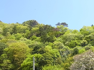 a0258087_1262390.jpg