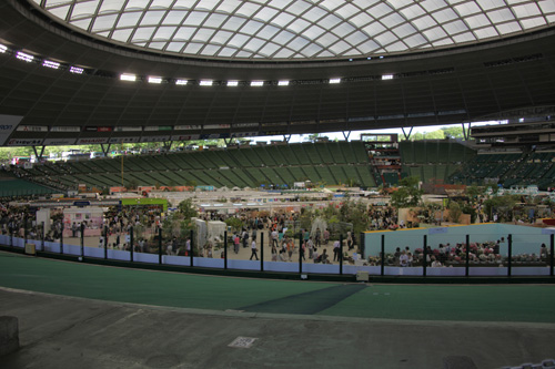 f0127388_22401352.jpg