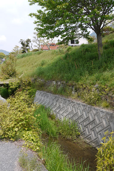 f0222692_132199.jpg