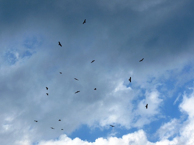 e0202393_62841.jpg