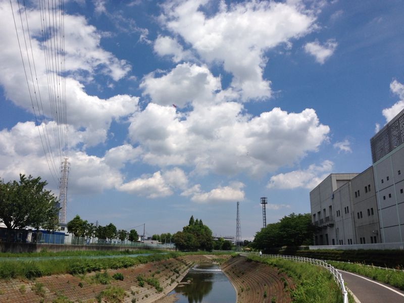 d0135694_11462942.jpg