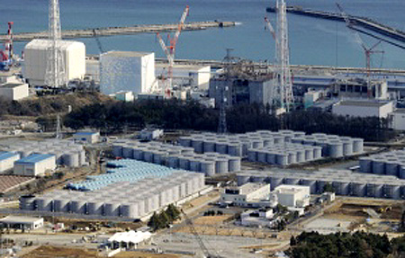 e0068696_1433571.jpg