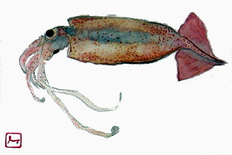 f0008597_22501933.jpg