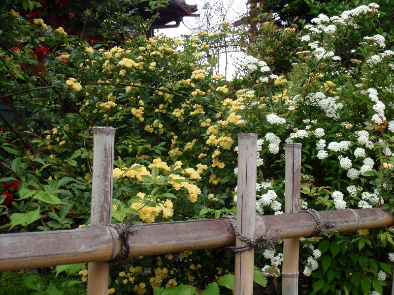d0069498_22123081.jpg