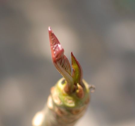 a0011999_12165.jpg
