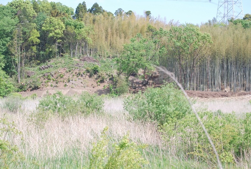 e0025300_1747313.jpg