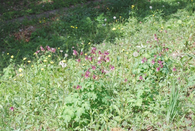 e0025300_1814397.jpg