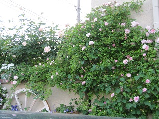 c0152002_11433436.jpg