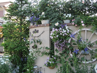 c0152002_1143463.jpg