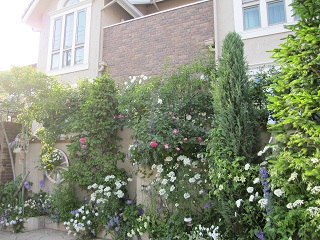 c0152002_11443120.jpg